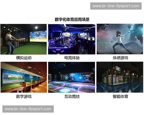 体育产业分析：未来十年的黄金赛道